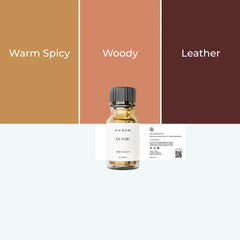 10ml - En Noir | Inspired by Man in Black by Bvlgari