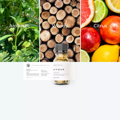 10ml - Aquae | Inspired by Acqua Di Gio - Giorgio Armani