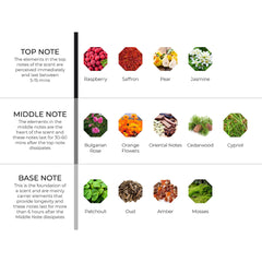 hydur-online.myshopify.com-Fragrance oils-Al`ūd | Inspired by Oud by Gucci