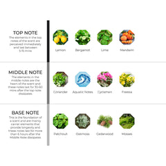 hydur-online.myshopify.com-Fragrance oils-Aquae | Inspired by Acqua Di Gio - Giorgio Armani