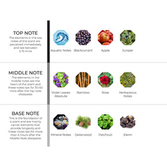 hydur-online.myshopify.com-Fragrance oils-Bamboo & Stone | Inspired by Aventus by Creed