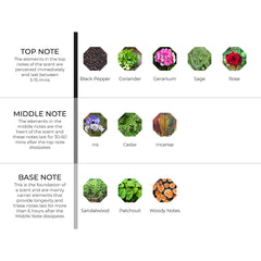 hydur-online.myshopify.com-Fragrance oils-Beirut