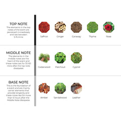 hydur-online.myshopify.com-Fragrance oils-Black Bliss | Inspired Black Afgano by Nasomatto