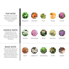 hydur-online.myshopify.com-Fragrance oils-Black Orchid | Inspired by Velvet Orchid by Tom Ford