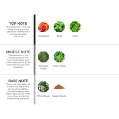 hydur-online.myshopify.com-Fragrance oils-Bollywood