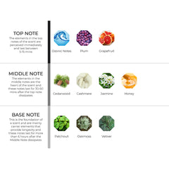 hydur-online.myshopify.com-Fragrance oils-Cleopatra