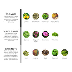 hydur-online.myshopify.com-Fragrance oils-Contemporary Oud | Inspired by Musk Oud by Kilian