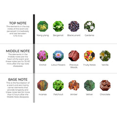 hydur-online.myshopify.com-Fragrance oils-Dark Orchid | Inspired by Black Orchid by Tom Ford