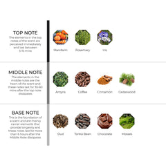 hydur-online.myshopify.com-Fragrance oils-Dry Amyris | Inspired by Amyris by Maison Francis Kurkdjian