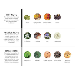 hydur-online.myshopify.com-Fragrance oils-En Noir | Inspired by Man in Black by Bvlgari