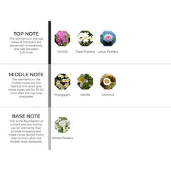 hydur-online.myshopify.com-Fragrance oils-Madagascar Resort