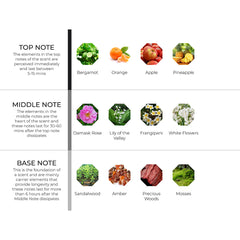 hydur-online.myshopify.com-Fragrance oils-Manama