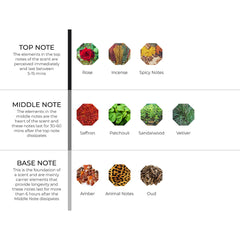 hydur-online.myshopify.com-Fragrance oils-Oud Regal | Inspired by Armani Prive Oud Royal by Giorgio Armani