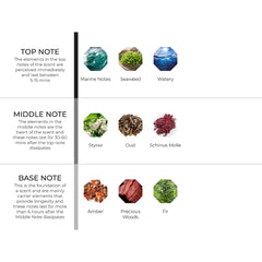 hydur-online.myshopify.com-Fragrance oils-Oud Spring | Inspired by Oud Minerale by Tom Ford