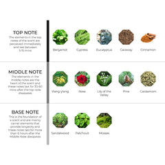 hydur-online.myshopify.com-Fragrance oils-Spice Market