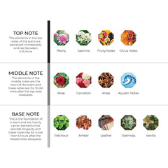 hydur-online.myshopify.com-Fragrance oils-Suede Peony | Inspired by Peony & Blush Suede by Jo Malone