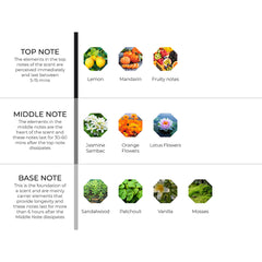 hydur-online.myshopify.com-Fragrance oils-Tokyo