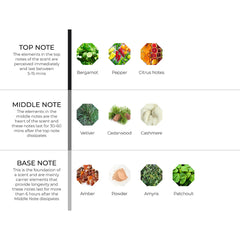 hydur-online.myshopify.com-Fragrance oils-Vetiver Light | Inspired by Terre D'Hermes Vetiver