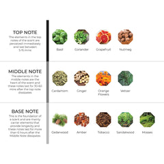 hydur-online.myshopify.com-Fragrance oils-Warm Citrus | Inspired by The One by Dolce & Gabbana