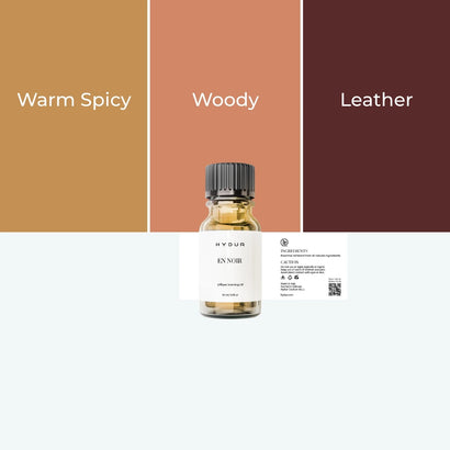 10ml - En Noir | Inspired by Man in Black by Bvlgari