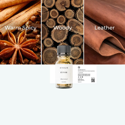 10ml - En Noir | Inspired by Man in Black by Bvlgari