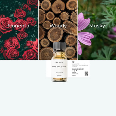 10ml - Prince of Persia