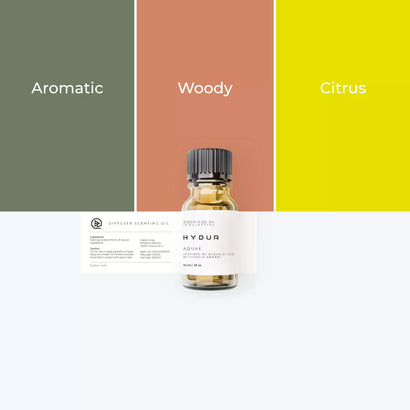 10ml - Aquae | Inspired by Acqua Di Gio - Giorgio Armani