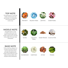 hydur-online.myshopify.com-Fragrance oils-Blossom | Inspired by Olympea by Paco Rabanne