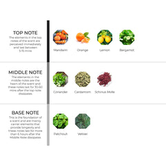 hydur-online.myshopify.com-Fragrance oils-Citrus + Vetiver | Inspired by Vetiver Babylone by Giorgio Armani