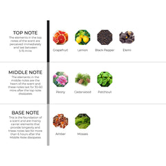 hydur-online.myshopify.com-Fragrance oils-Damascus