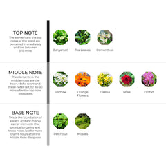 hydur-online.myshopify.com-Fragrance oils-Floralbomb | Inspired by Flowerbomb by Viktor&Rolf