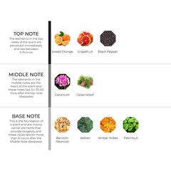 hydur-online.myshopify.com-Fragrance oils-Terence | Inspired by Terre D'Hermes