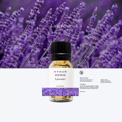 10ml - Intense Lavender