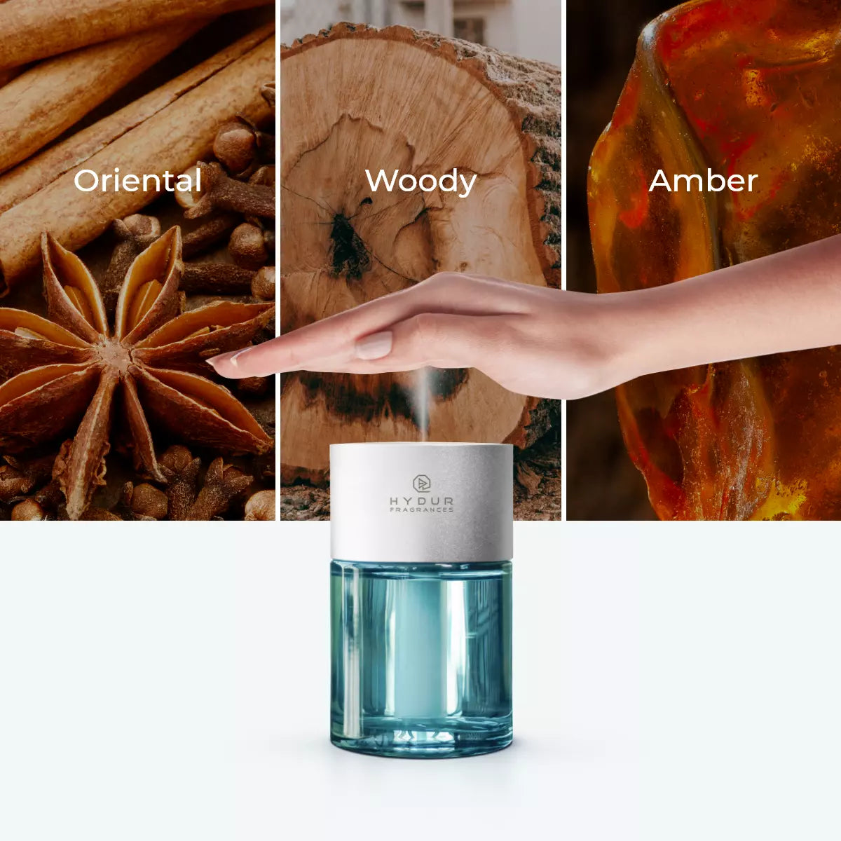 Dior oud purple hot sale